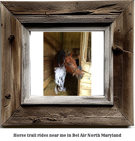 horse trail rides near me in Bel Air North, Maryland